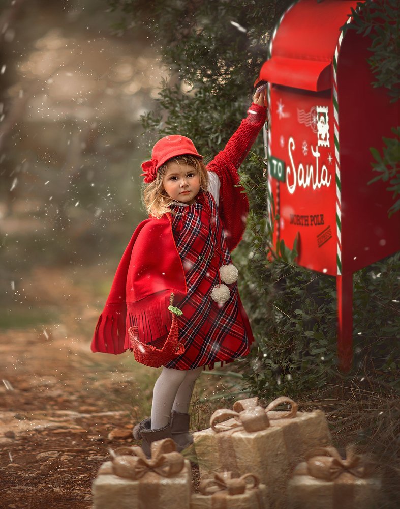 Christmas in the forest