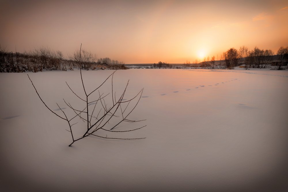 Тропинка до солнца