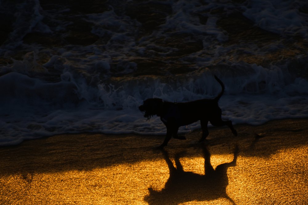 Photograph by Juan Carlos Pascual López