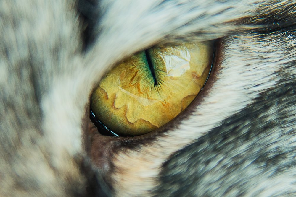 Photograph by Лейла Матар