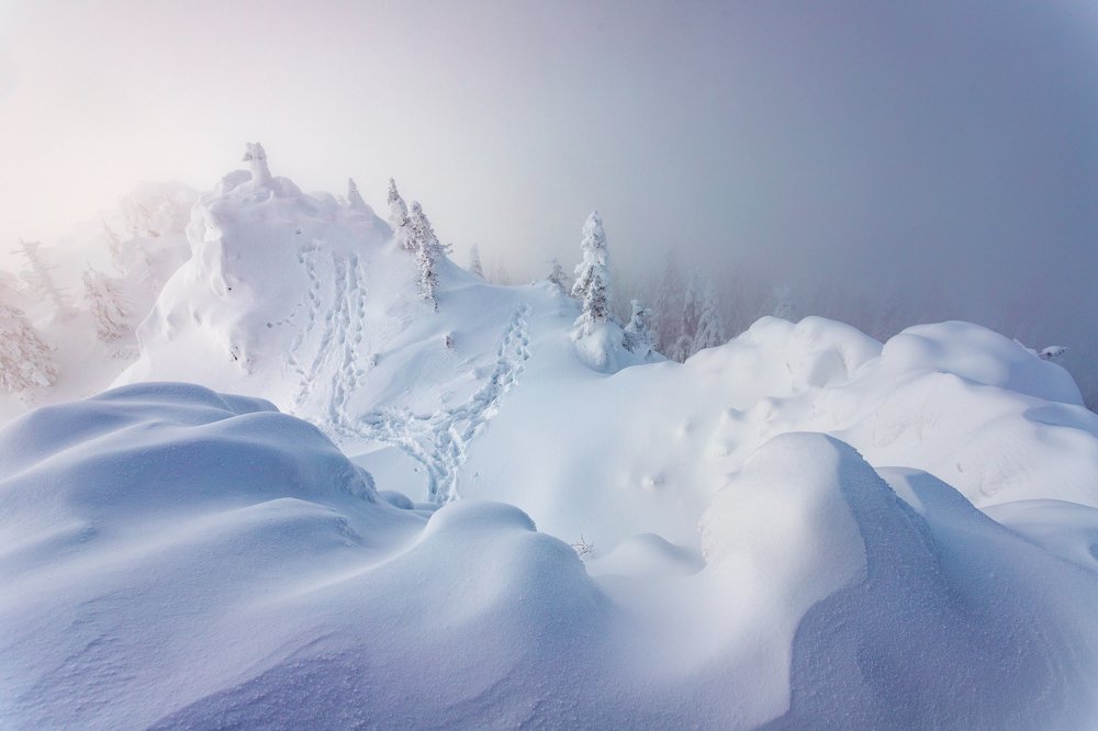 Снежные волны