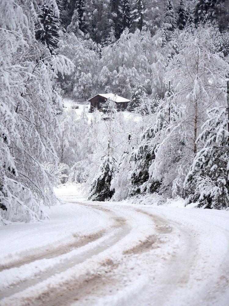 Photograph by Екатерина Шмелева