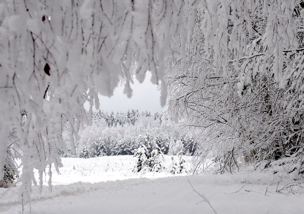 Photograph by Екатерина Шмелева