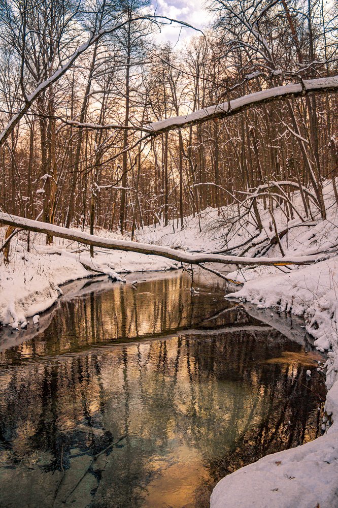 Photograph by Наталья Белова