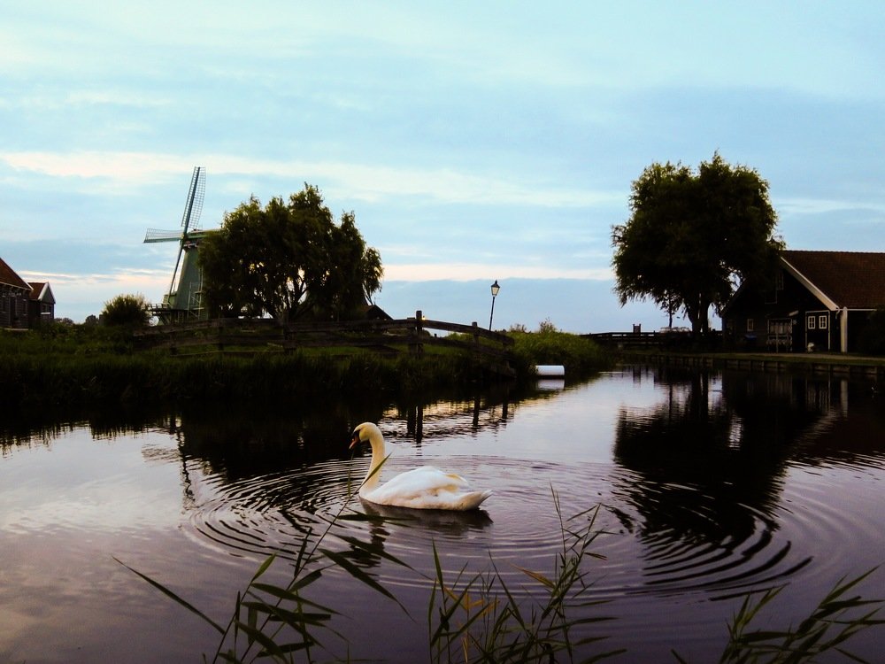 Photograph by Elza