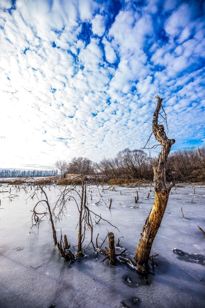 Photograph by Ирина Левакова