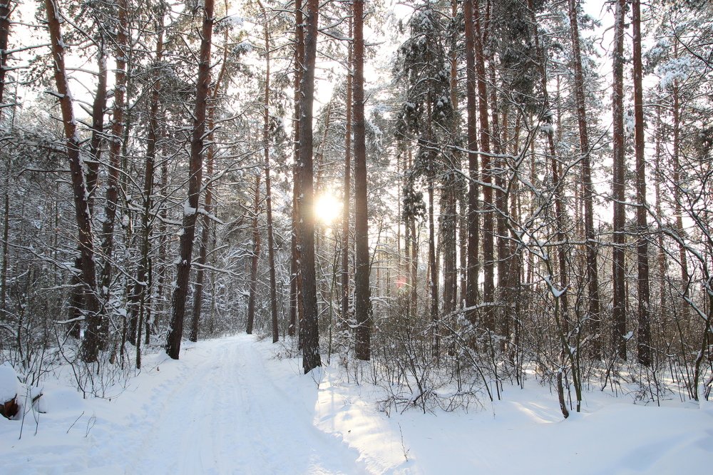 Photograph by Наталья Рыкова