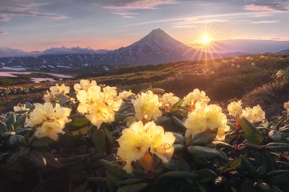 Photograph by Анна Политова