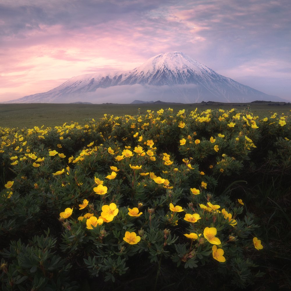 Photograph by Анна Политова