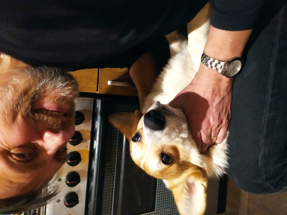 человек и собака