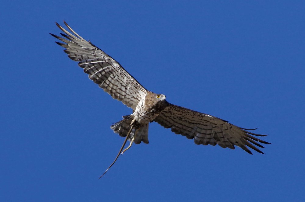 Photograph by Светлана