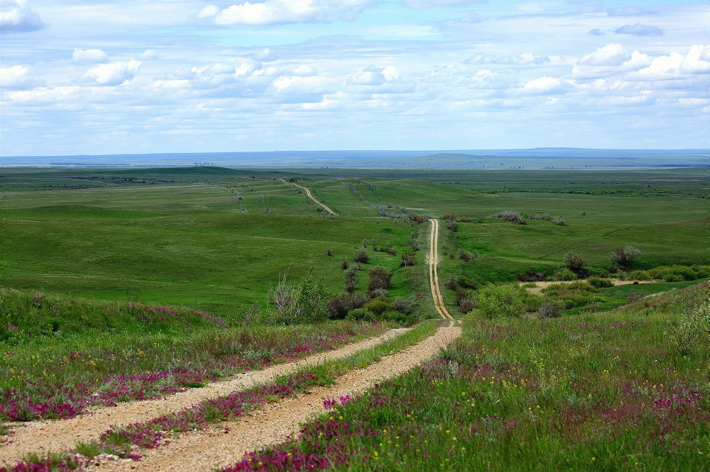 Степная дорога