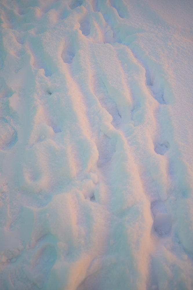 Photograph by Ольга Голубева