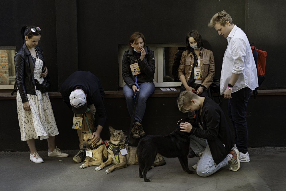 Photograph by Ольга Голубева