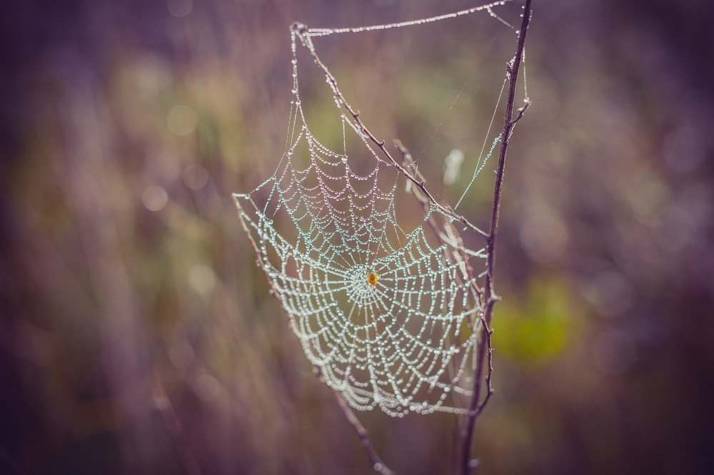 Photograph by Анна Григорьева