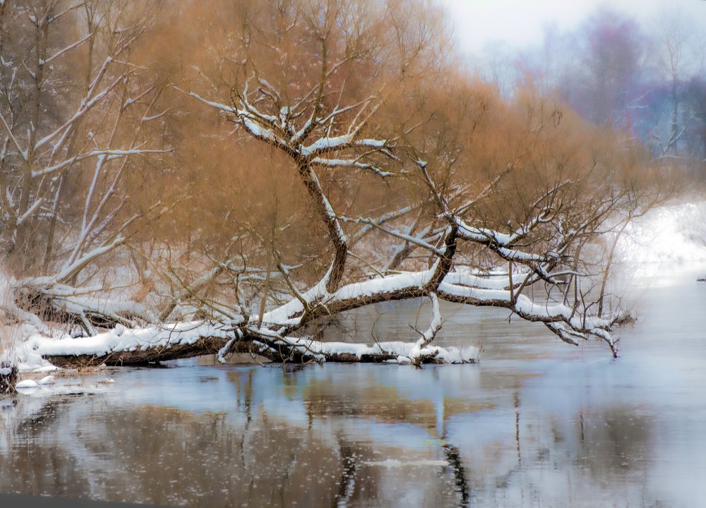 Photograph by Ekaterina Fadeeva