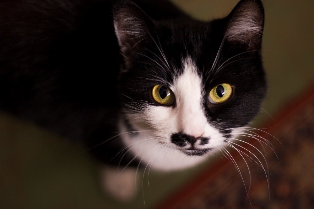 Photograph by Nina Mryha