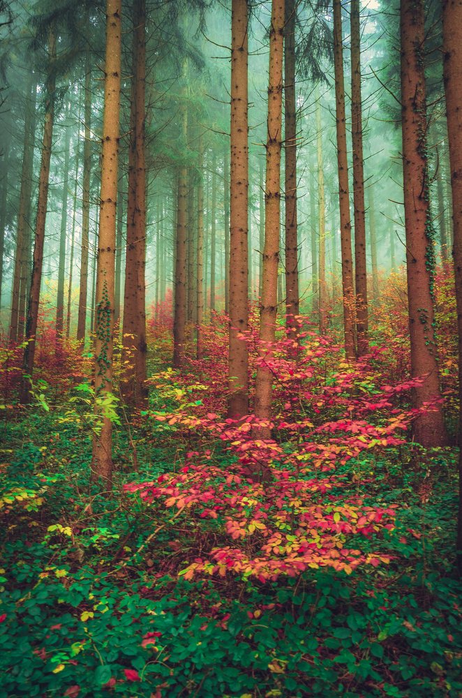 Photograph by Adrian Limani