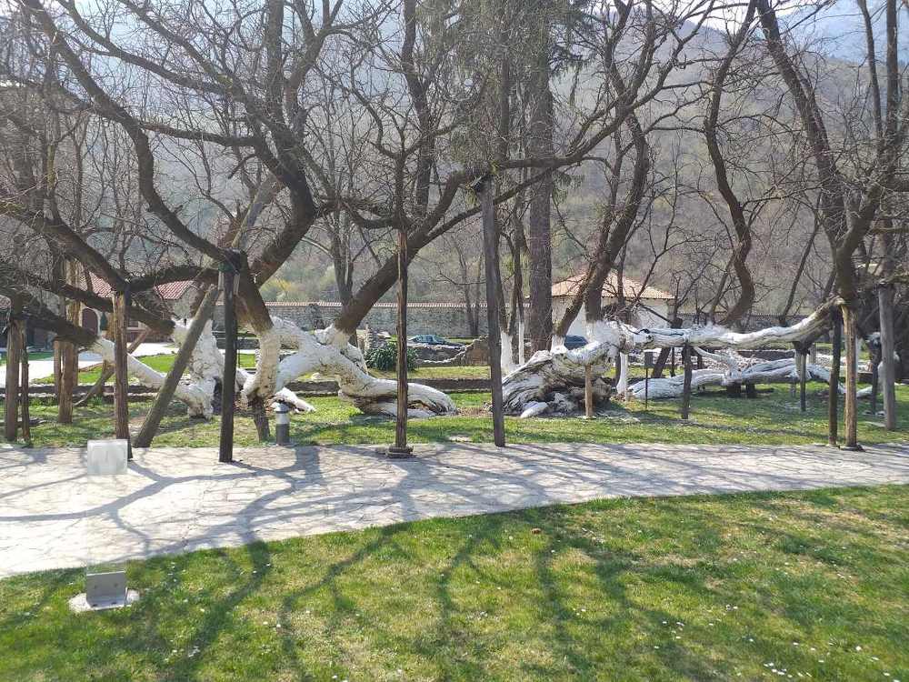 Photograph by Lidija Jevremovic