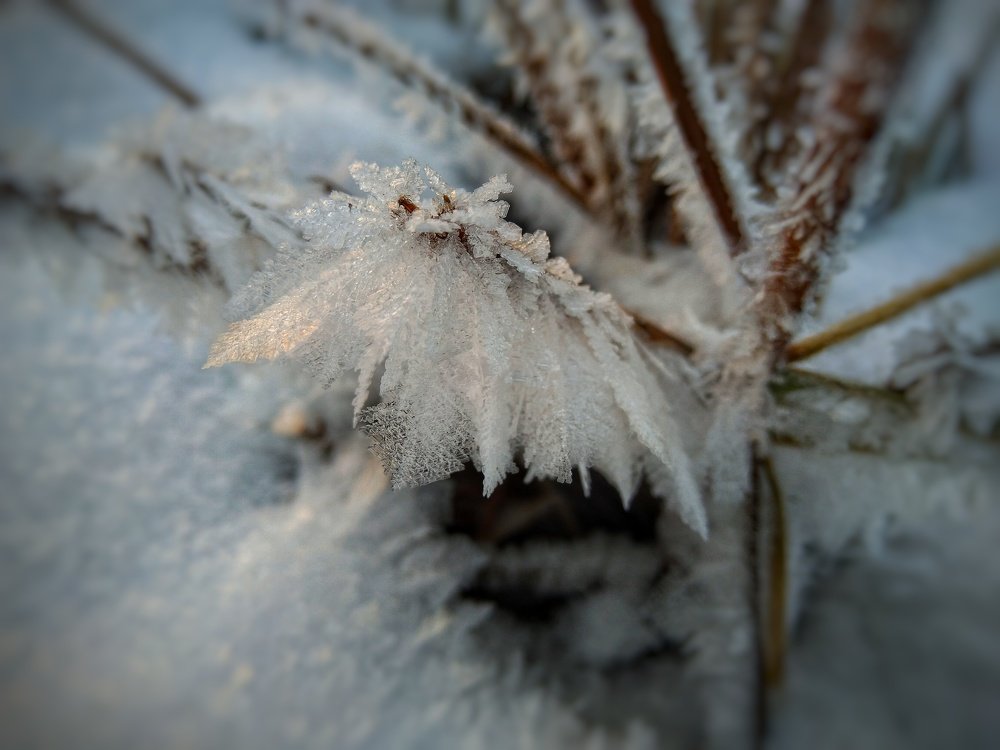 Фотография автора Виктор Конев