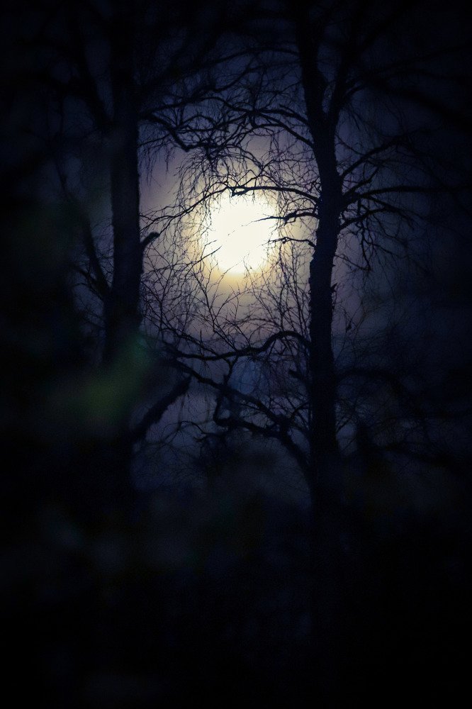 Photograph by Ирина Левакова