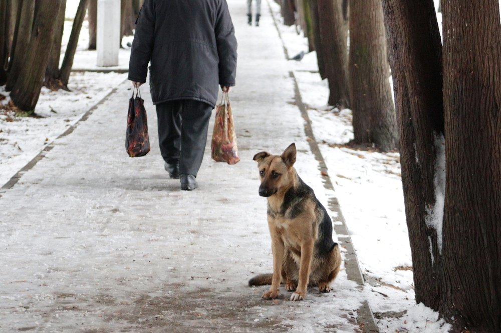 Photograph by Алексей Турсунов