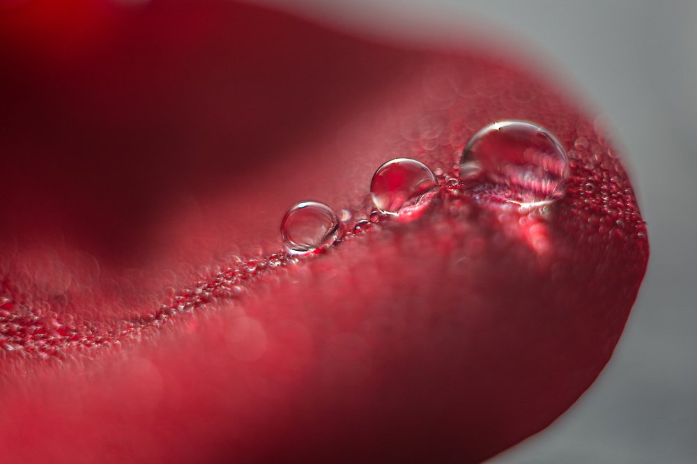 Photograph by Нурият Аллаярова