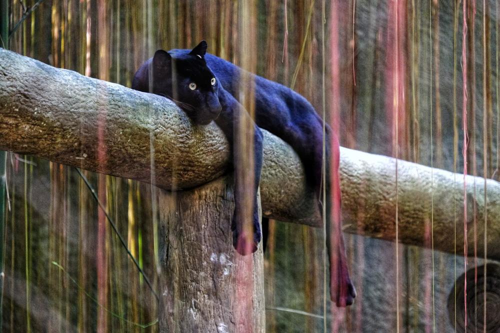 Фотография автора Денис Винарь