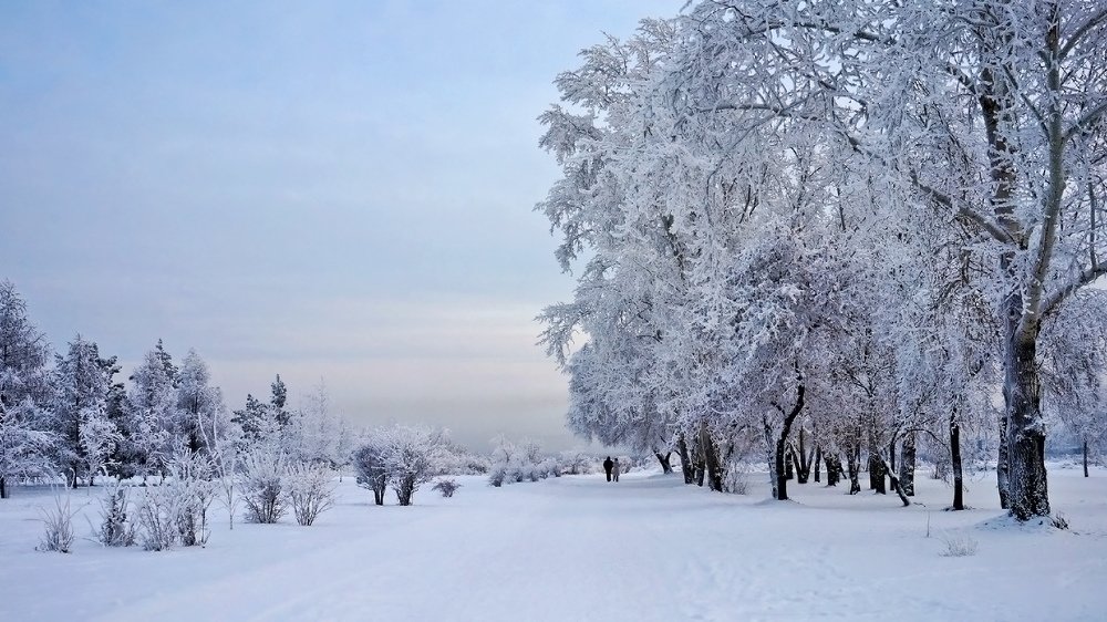 Прогулки зимним днем