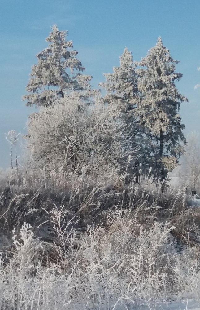 Photo #5557950