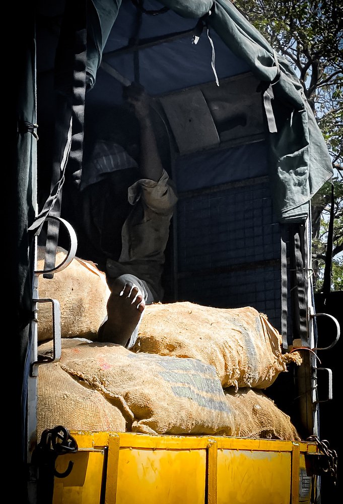 Photograph by Dilip Hm