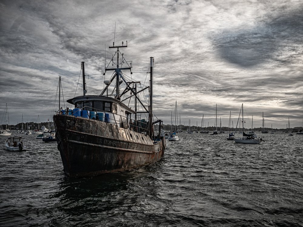 Red Tide in Rhode Island