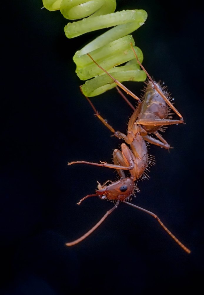 Photograph by Ashok Kallagunta