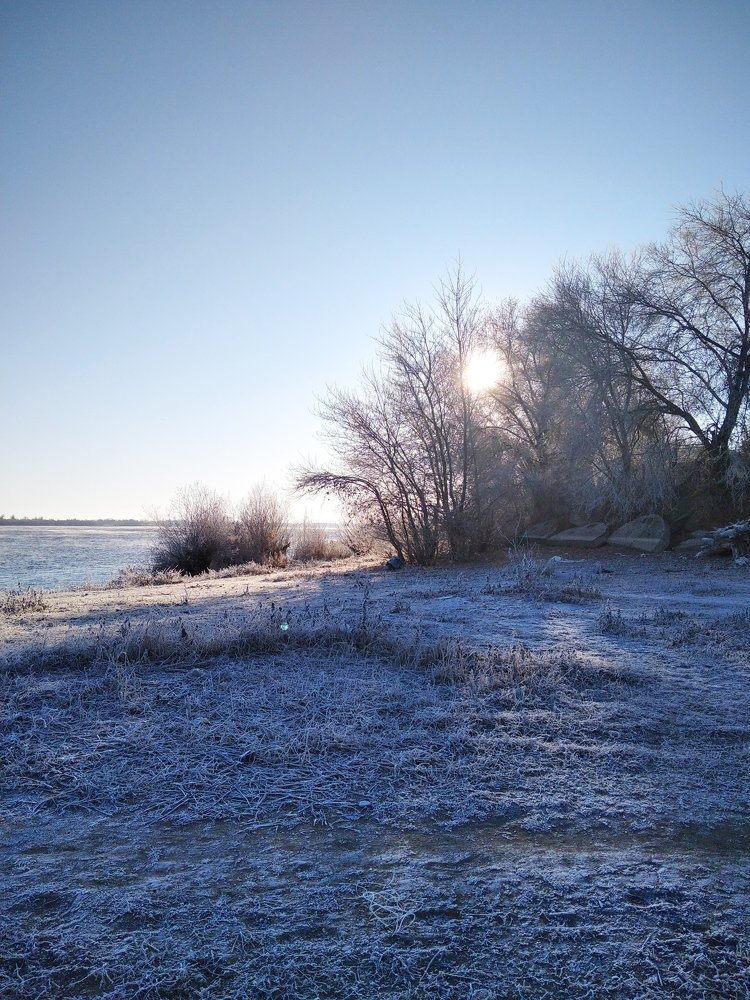 Photo #5558097