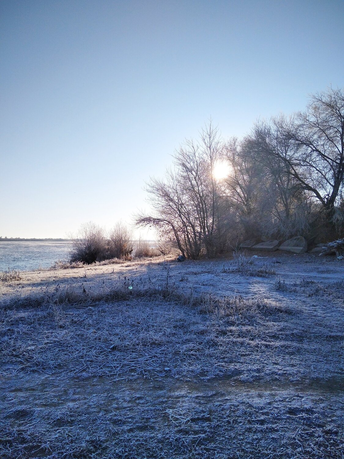 Photo #5558097