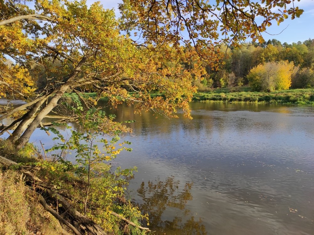 Photograph by Алексей Федулов