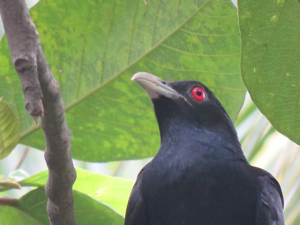 Photograph by suparna ghosh