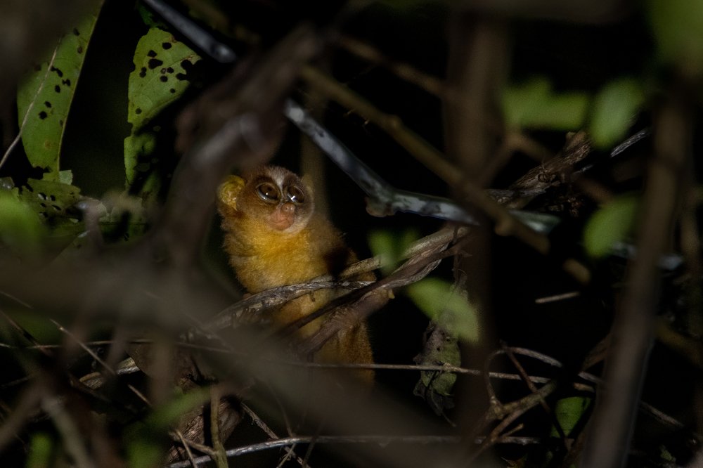Photograph by Nabarun Majumdar