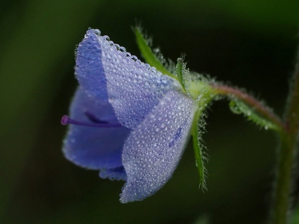 Photograph by Елена Харитонова