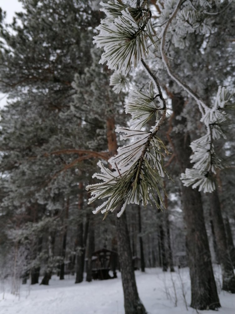 Photograph by Дарья