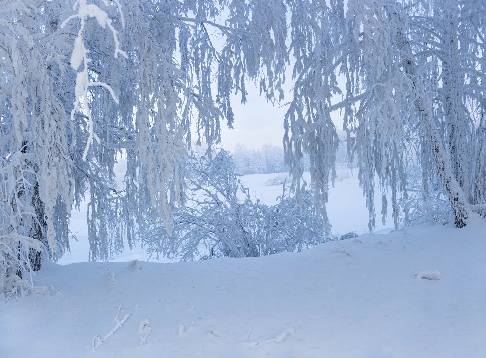 Сказка про 12 месяцев-царство января.