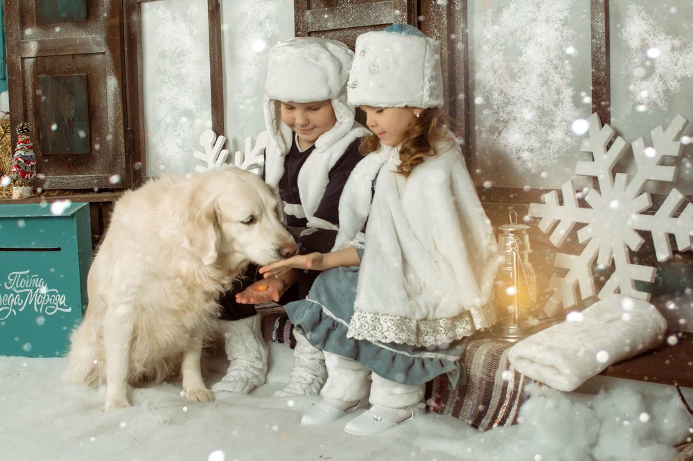 Photograph by Надежда Преминина