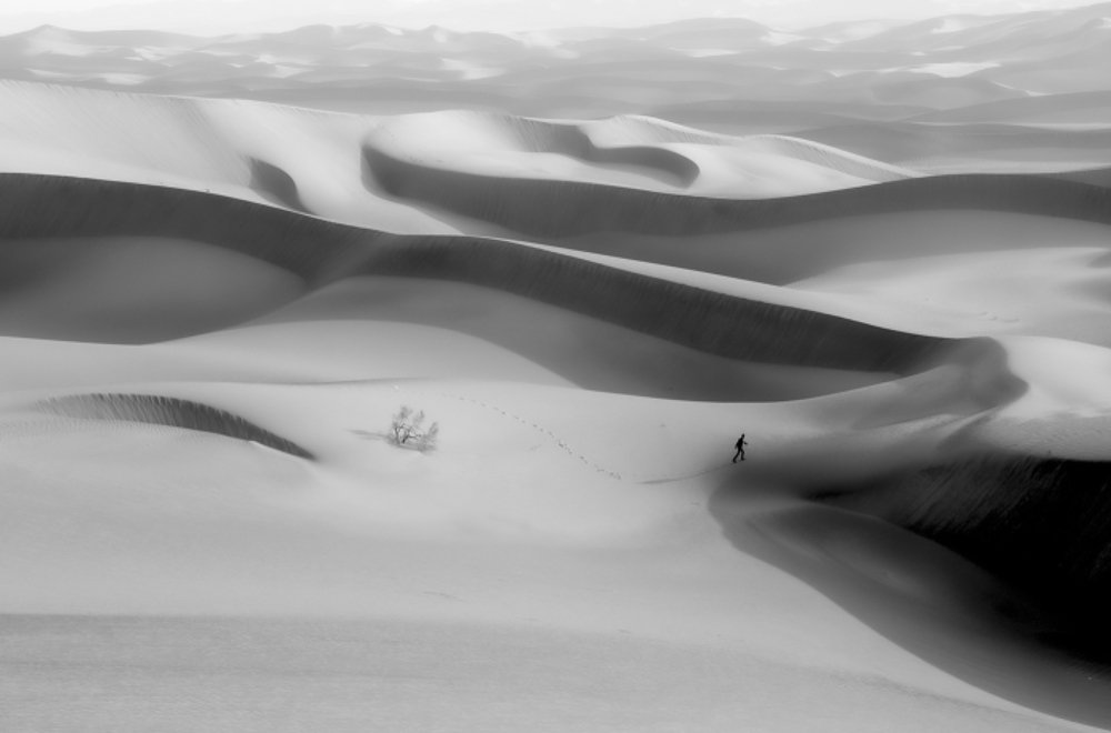 Photograph by Reza Mohammadi