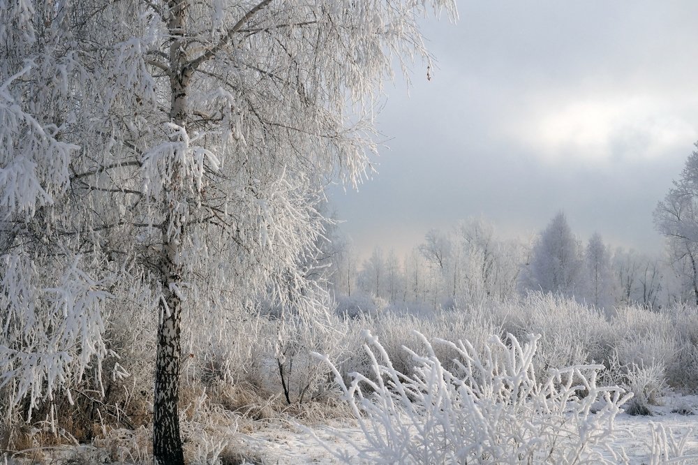 Зимний день на острове Татышев