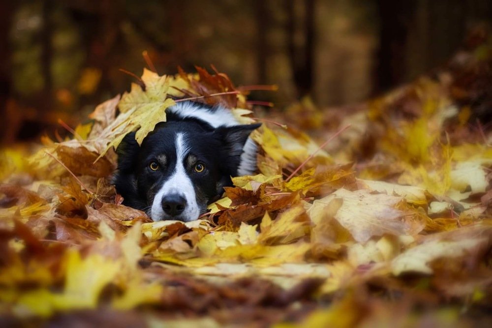 Photograph by Andrew Eaton