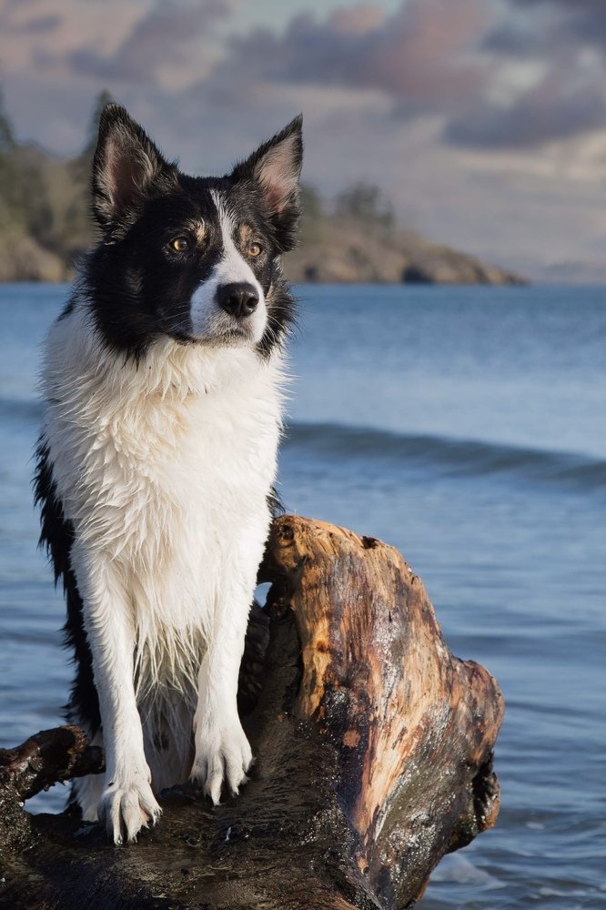 Photograph by Andrew Eaton