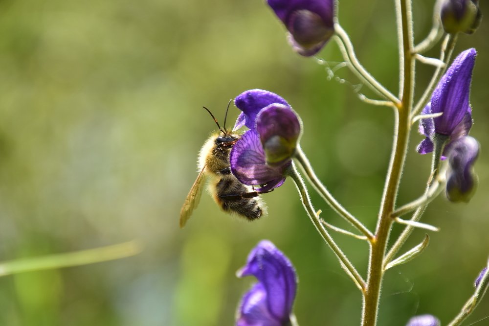 Photograph by Эльвира Быкова
