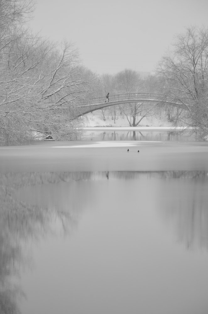 Первый снег