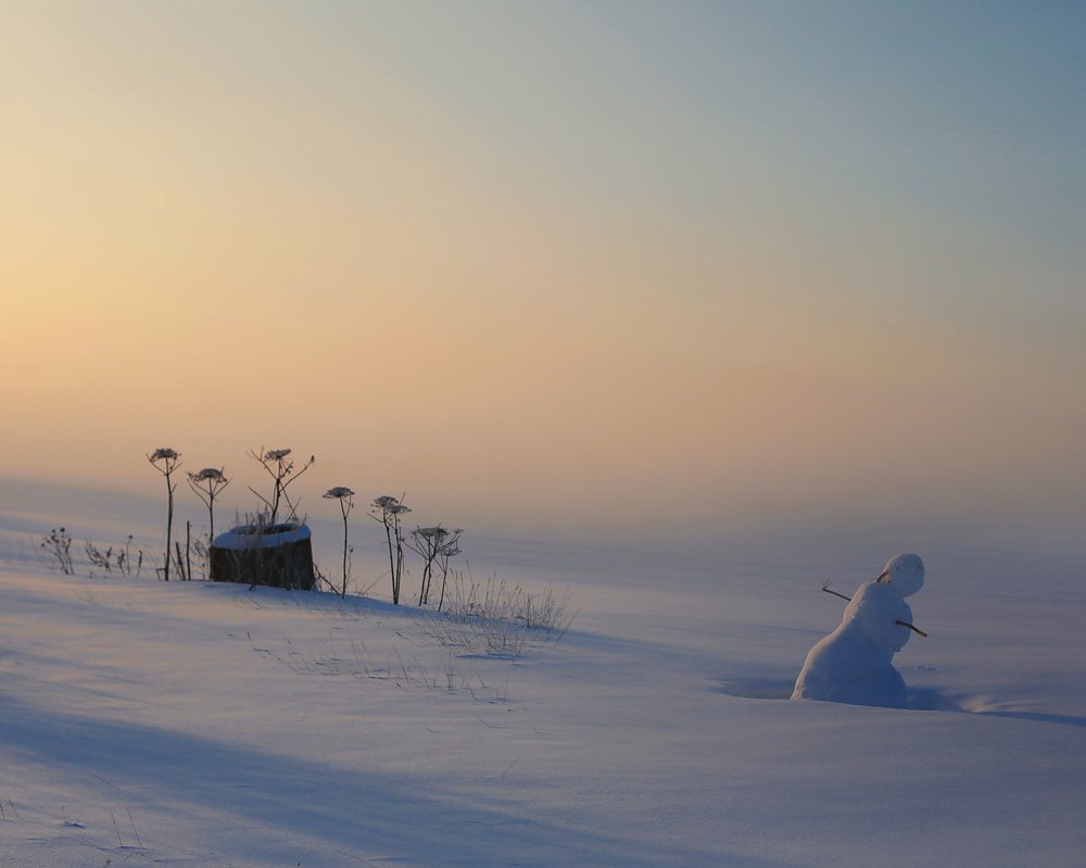 Photograph by Старикова Светлана