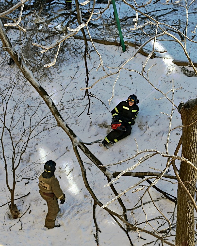 С горочки с бензопилой .